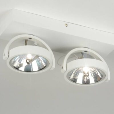 Plafond lamp 2x ar111 mat wit